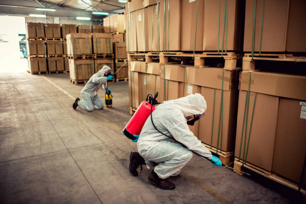 Best Termite Control Services  in Kerrville, TX